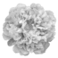 prima materia