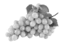 prima materia