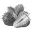 prima materia