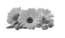 prima materia