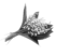 prima materia