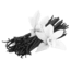 prima materia