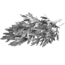 prima materia