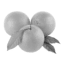 prima materia