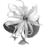 prima materia