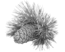 prima materia