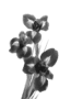 prima materia