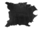 prima materia