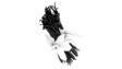prima materia