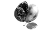 prima materia