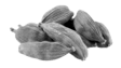 prima materia