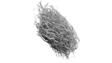 prima materia