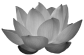 prima materia