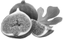 prima materia