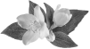 prima materia