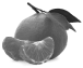 prima materia