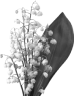 prima materia