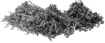 prima materia